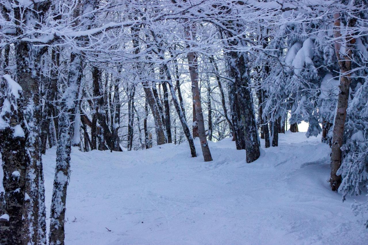 Smugglers' Notch Resort Private Suites Cambridge Exteriér fotografie